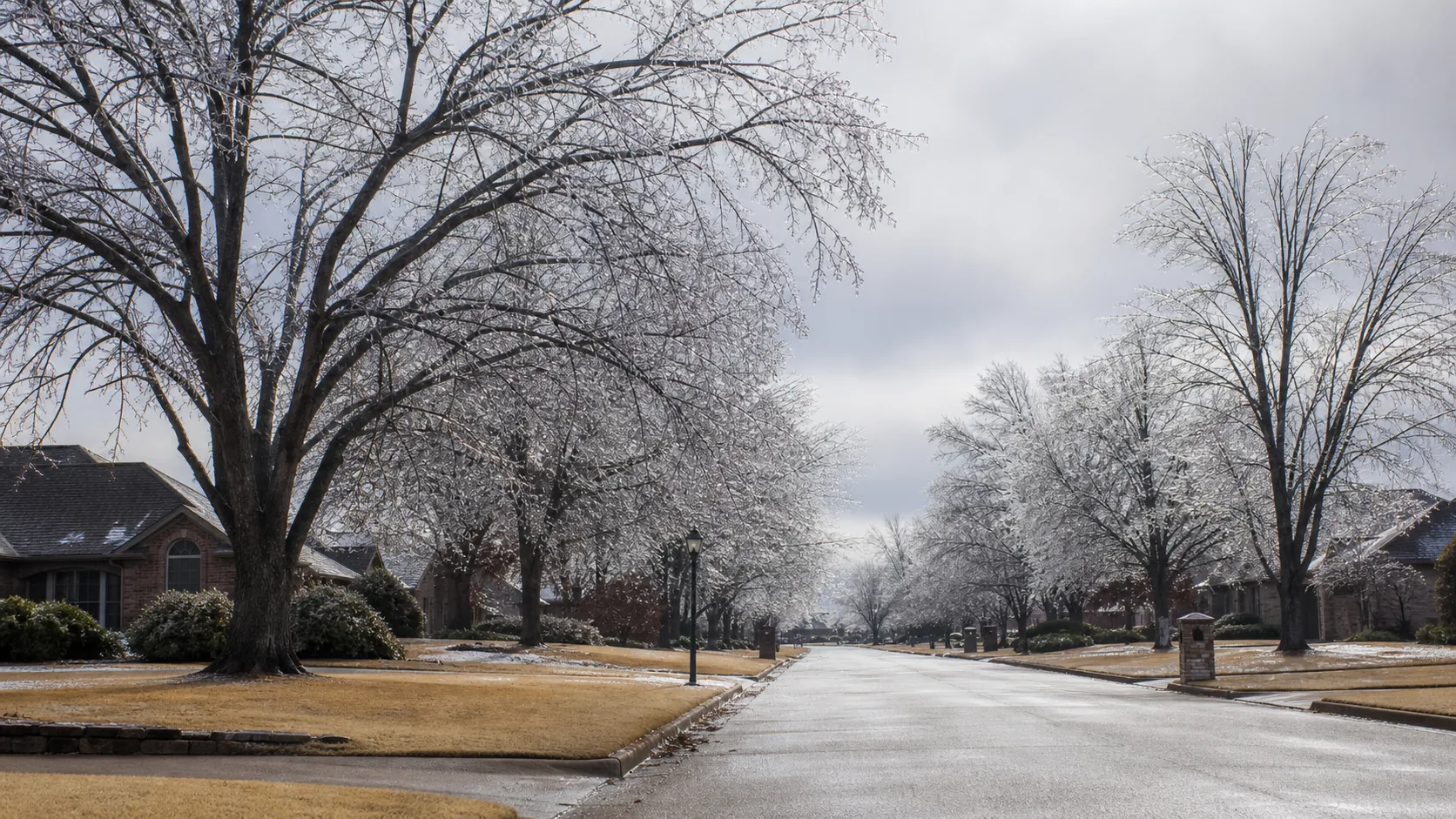 Tree-lined residential street after a light winter ice event
