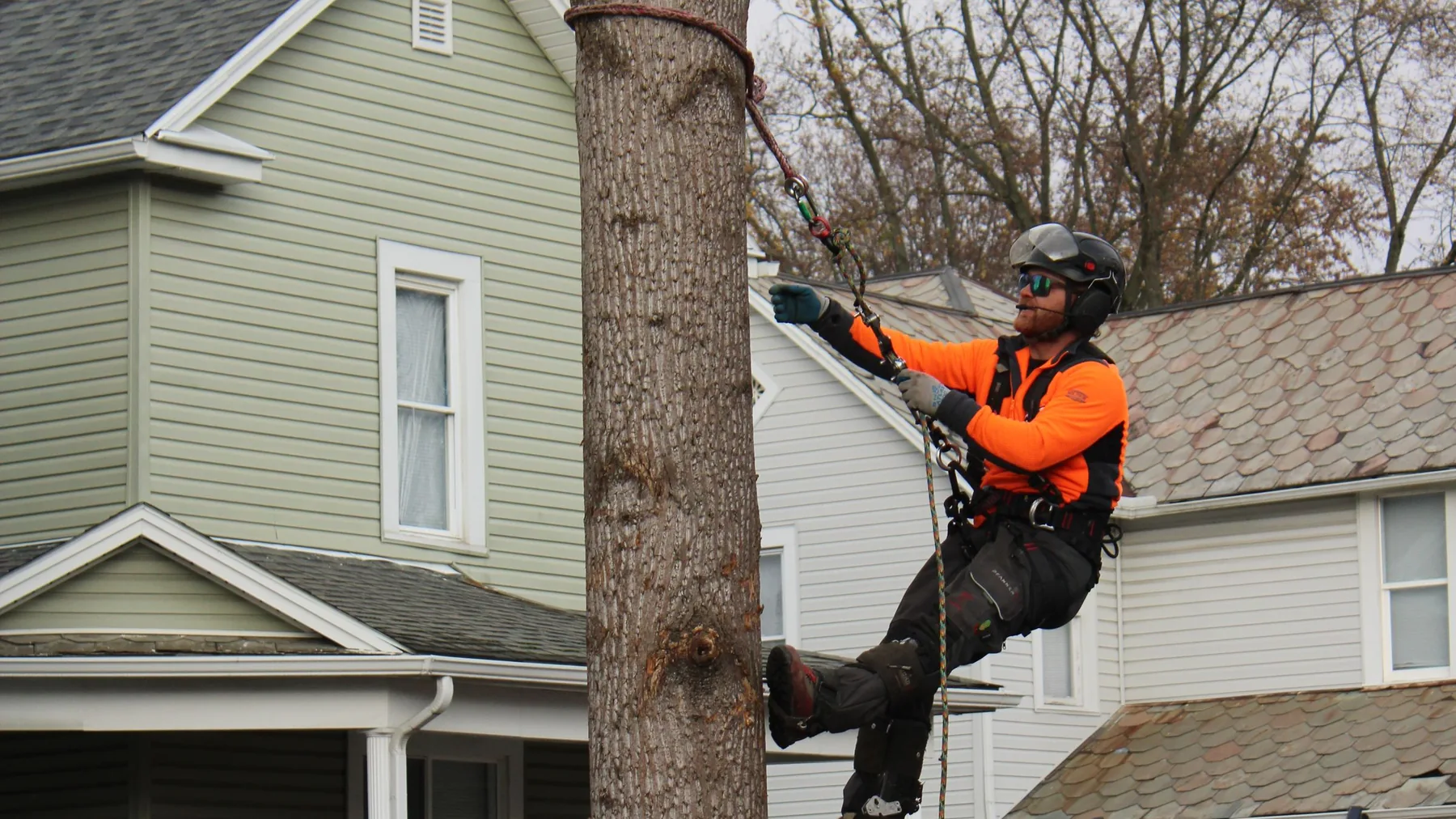 Tree worker demonstrating rigging beside commercial equipment