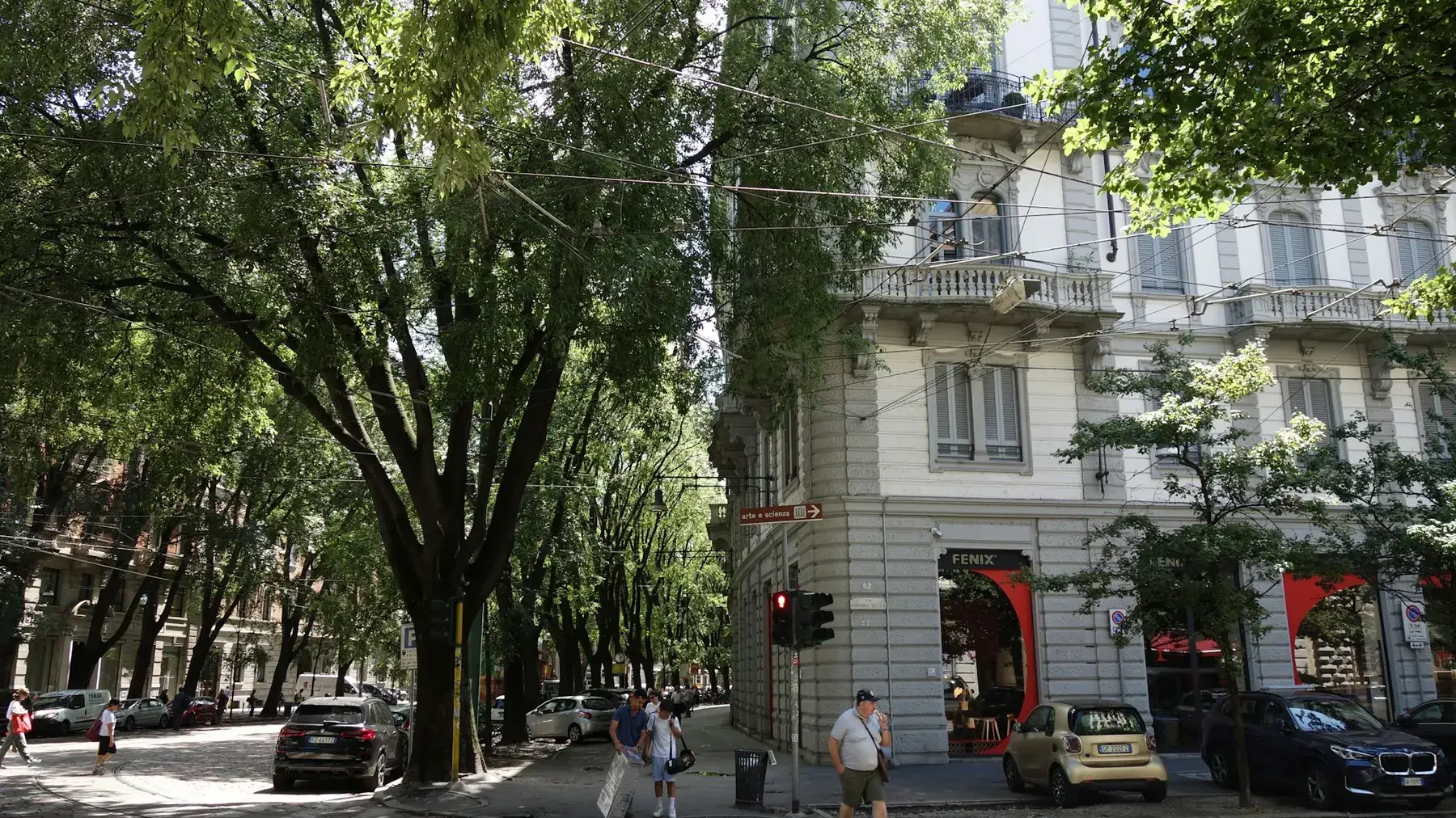 Walkable neighborhood street with established trees