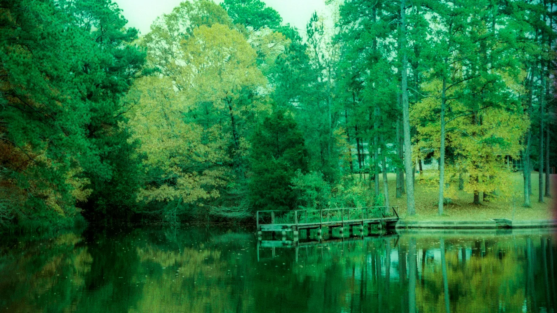 Wooded pond in a quiet Mid-South landscape