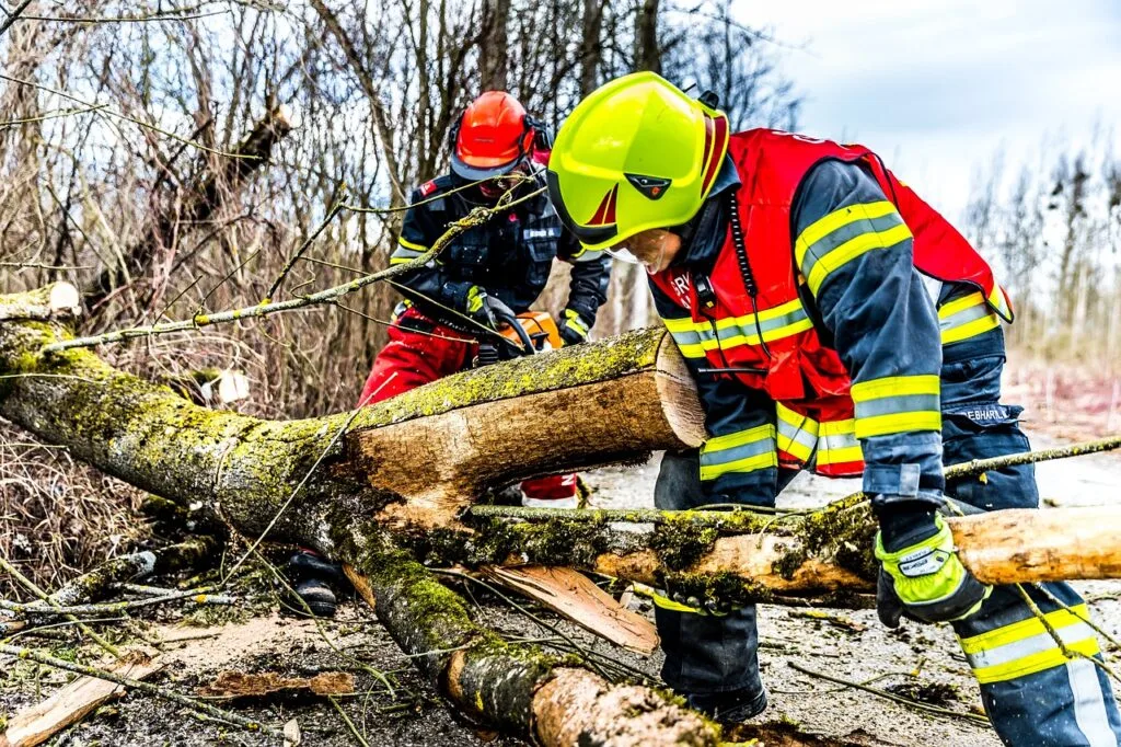 fire fighters, storm, tree