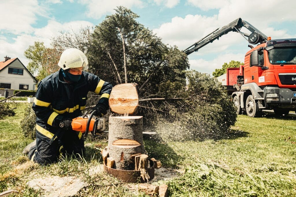 A firefighter uses a chainsaw to cut a tree stump while a truck assists in an outdoor setting.